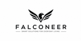 Falconeer limited